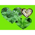 Apotheke - Bio RelaxCare Herbal Tea Gyermekeknek, 20 filter