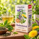 Apotheke - CholestCare Herbal Tea, 20 filter