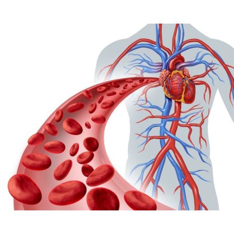 Dr. Pavel - Érrendszer Herbal Tea, 40 filter