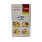 Apotheke - Gyömbér Variációk, Vegyes Gyümölcs Tea, 4*5 filter - Premier Selection