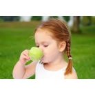 Apotheke - Bio Gyümölcstea Gyermekeknek, 20 filter