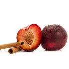 Apotheke - Forró Szilva Fahéjjal Gyümölcs Tea - Premier Selection