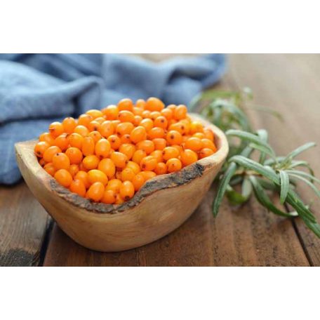 Drapal - Homoktövis Szirup, 450g/340ml