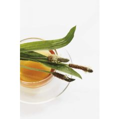 Drapal - Bio Lándzsás Útifű Préslé, 200ml