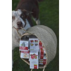   Apotheke Ízorgia Teacsomag + Ajándék Bűvös Karácsony Tea