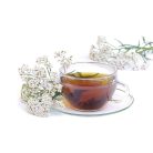 Drapal BIO Cickafark préslé csomag 4*200ml