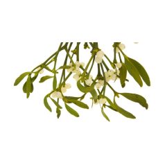 2db Drapal - Fagyöngy Préslé, 2*200ml