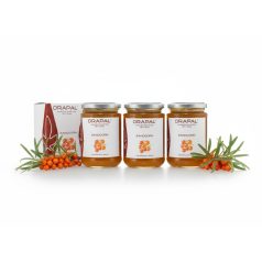 3db Drapal - Homoktövis Szirup, 450g/340ml