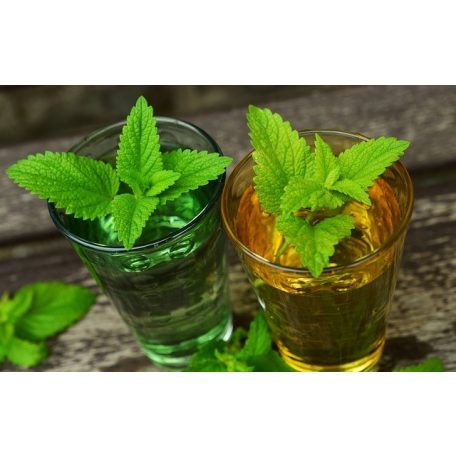 Apotheke - Bio ImmuCare Herbal Tea Gyermekeknek - Erő Benő, 20 filter