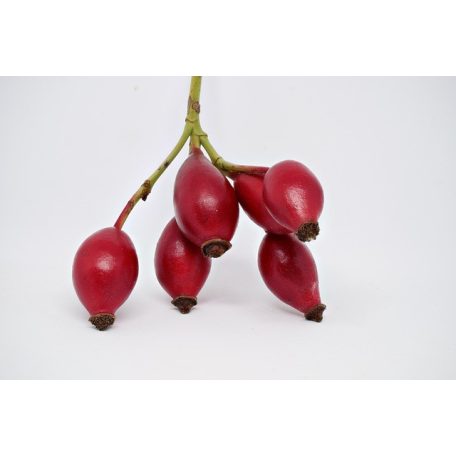 Apotheke - Bio ImmuCare Herbal Tea Gyermekeknek - Erő Benő, 20 filter