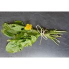 2db Drapal - Bio Gyermekláncfű Préslé, 2*200ml