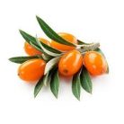 Családi Immun Bomba