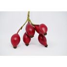 Családi Immun Bomba